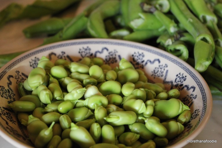 fava beans