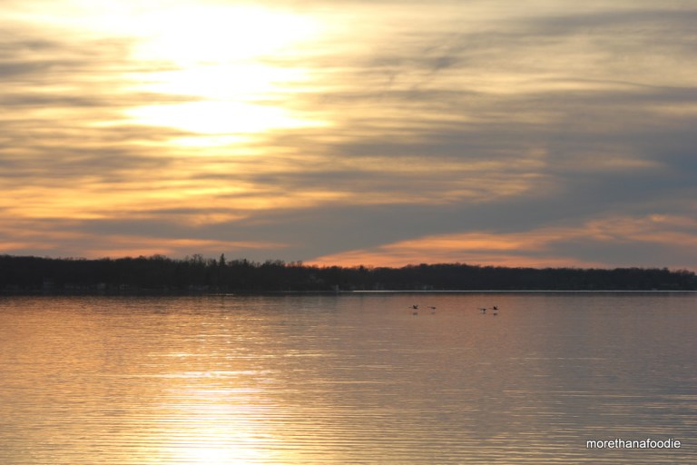 minnesota sunset swans flying lake