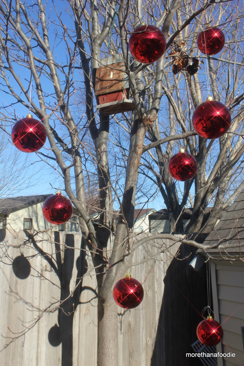 bare tree with red christmas balls