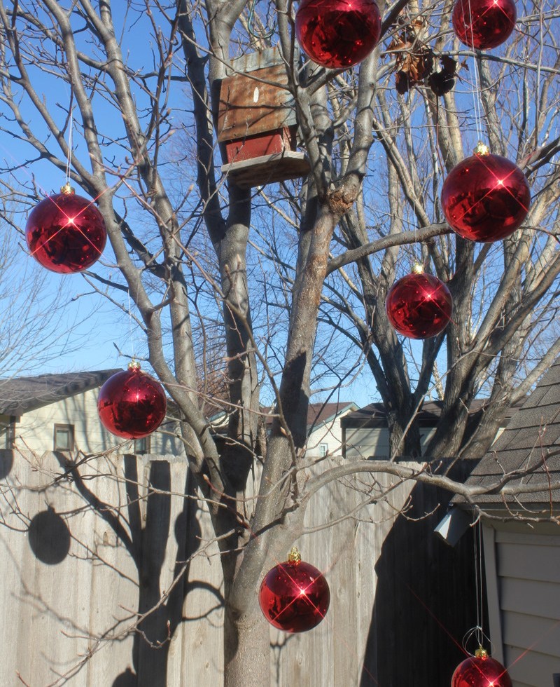bare tree with red christmas balls