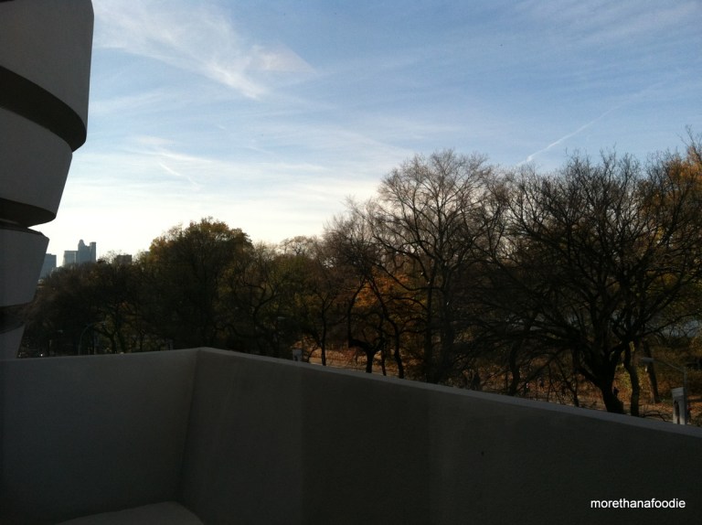 Guggenheim NYC view of Central Park