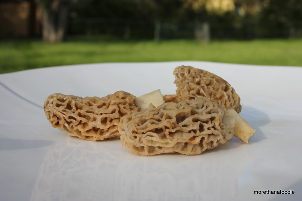 three morels