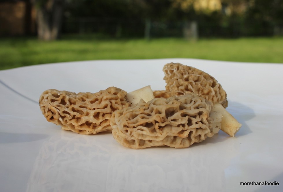 three morels