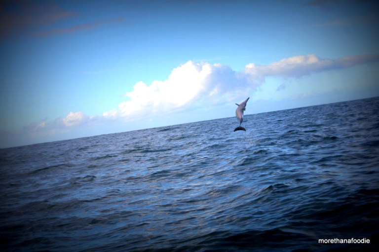 Off Coast of Kauai Hawaii