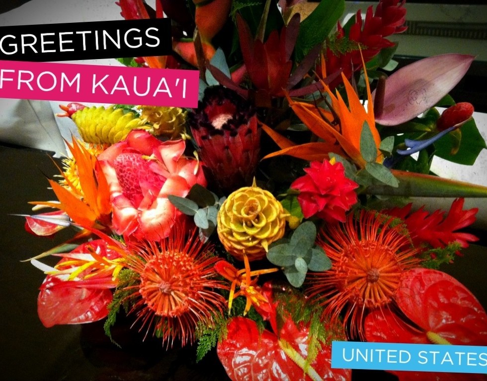 kauai morethanafoodie