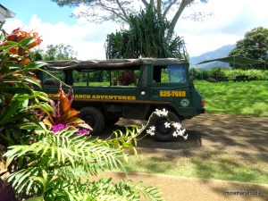 princeville things to do in kauai zipndip