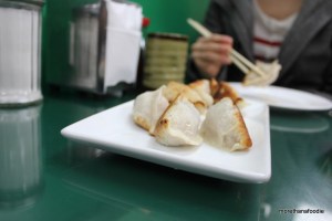 excellent dumpling house chinatown nyc