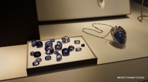 chicago museums gem exihibit